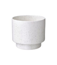 Drakfrukt - Imagen 2