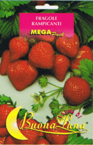 Semillas De Fresas Trepadoras
