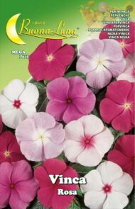 Semillas De Vinca Rosa