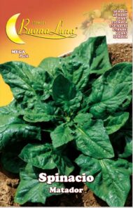 Semillas De Espinaca Matador