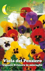 Semillas De Pensamiento Gigante Suizo Mix