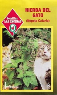 Semillas de Hierba del Gato