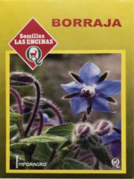 Semillas de Borraja