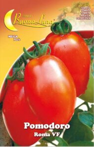 Semillas De Tomate Roma Vf