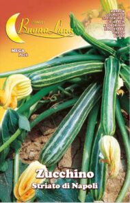 Semillas De Zapallo Estriado De Nápoles