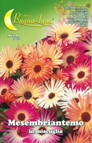 Semillas De Tapiz Mágico