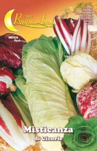 Semillas De Achicorias Mezcla De Colores