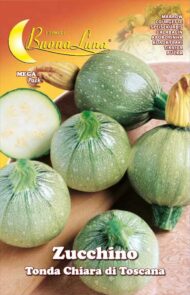 Semillas De Zapallo Redondo Claro De Toscana