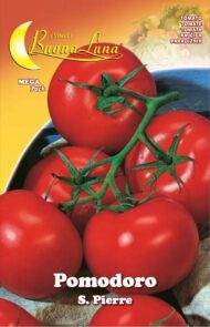 Semillas De Tomate San Pierre
