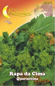 Semillas De Nabo Superior 40 °