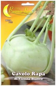 Semillas De Repollo Nabo De Viena Blanco