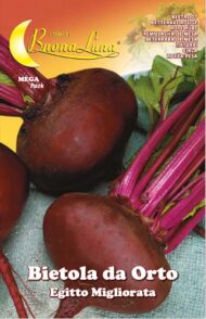 Semillas De Betarraga Mejorada Egipto