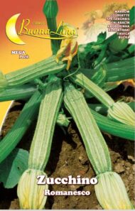 Semillas De Zapallo Romanesco