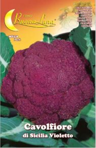 Semillas De Coliflor Violeta Siciliana