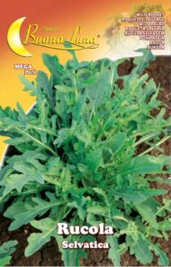 Semillas De Rúcula Silvestre