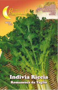 Semillas De Endivia Rizada Romanesca De Corte