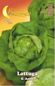 Semillas De Lechuga Santa Anna