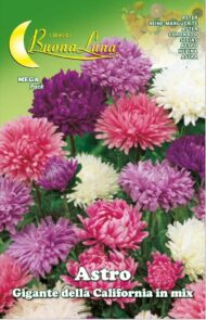 Semillas De Coronado Gigante California Mix