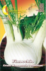 Semillas De Hinojo Geant Mammouth Perfection