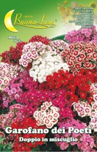 Semillas De Clavel De Poeta Doble Mix