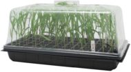 Kit de Almaciguera de 50 + Cúpula Alta + Bandeja de Germinación