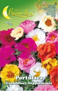 Semillas De Portulacca Grandiflora Doble Mix