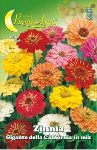 Semillas De Zinnia Gigante De California Mix