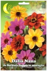 Semillas De Dalia Enana Doble Mix