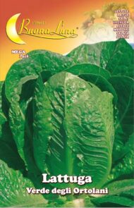 Semillas De Lechuga Romana Verde de los Ortolani