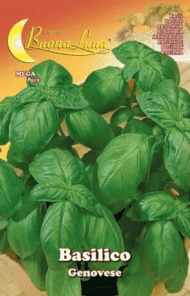 Semillas De Albahaca Genovesa
