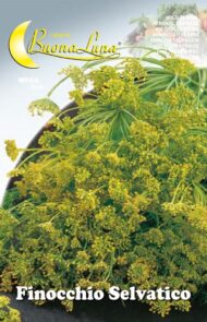 Semillas De Hinojo Silvestre