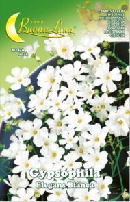 Semillas De Gipsofila Blanca Elegans
