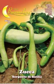 Semillas De Zapallo Serpiente De Sicilia
