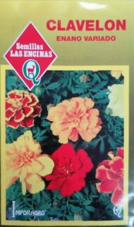 Semillas de Clavelón Enano Variado