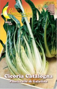 Semillas De Achicoria Puntarelle Di Galatina