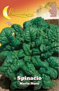 Semillas De Espinacas Merlo Negro