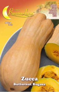 Semillas De Zapallo Butternut