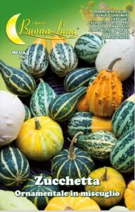 Semillas De Calabacitas Ornamentales