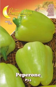 Semillas De Pimentón P14