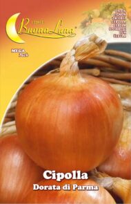 Semillas De Cebolla Dorada De Parma