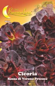 Semillas De Achicoria Roja Precoz De Verona