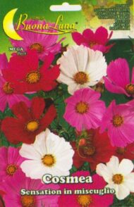 Semillas De Cosmos Sensación Mix