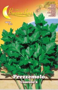 Semillas De Perejil Común