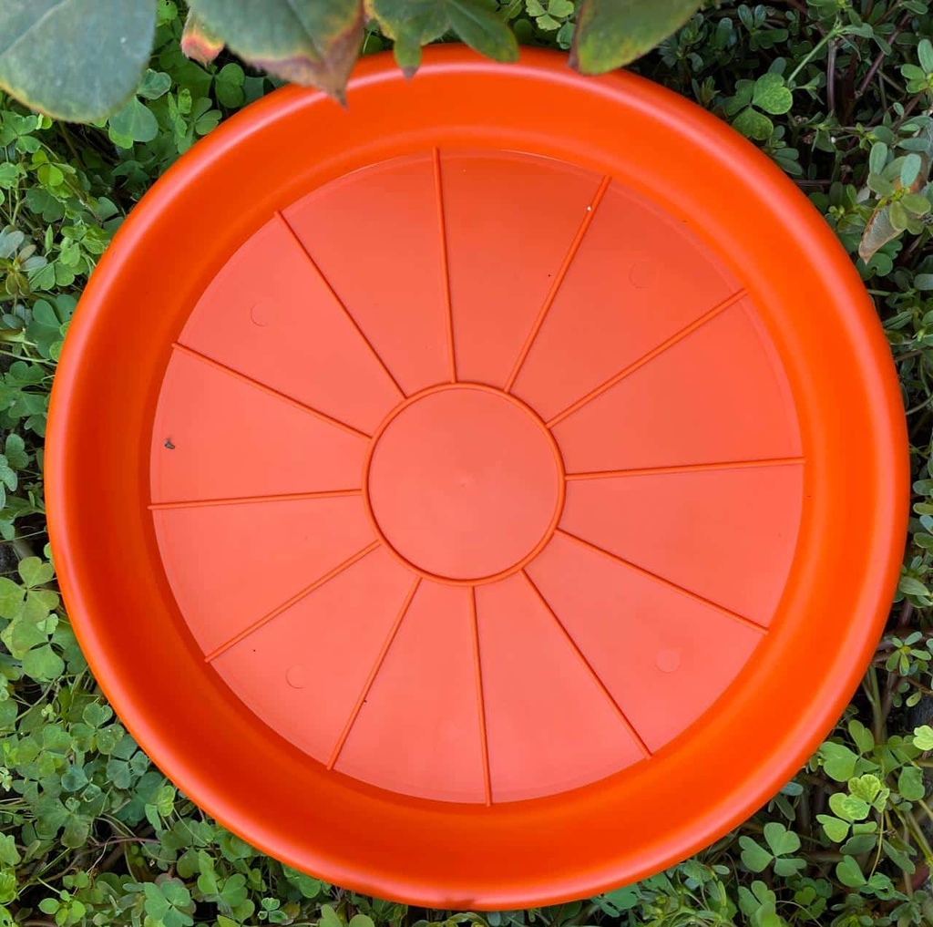 8950d26b50c5660ed95bdd65e932ef1b_Plato_Para_Macetero_Redondo_P35_Color_Terracota_24150.jpeg Plato Para Macetero Redondo P35 Color Terracota - Imagen 1