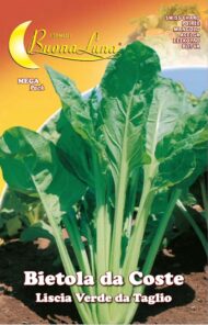 Semillas De Acelga Verde Suave De Corte