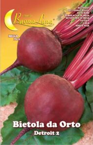 Semillas De Betarraga Detroit