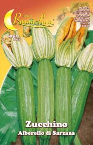 Semillas De Zapallo Alberello Di Sarzana