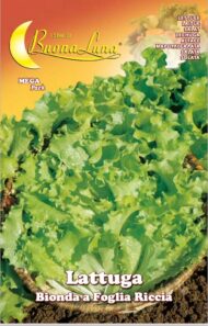 Semillas De Lechuga Rubia Hoja Rizada