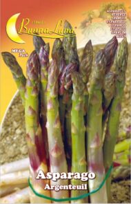 Semillas De Espárragos Argentuil