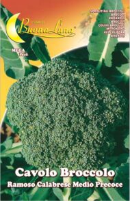 Semillas De Repollo Broccolo Calabrese Medio Precoce